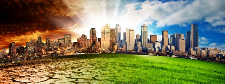 climate-adaptation-vs-mitigation-mrs-green-s-world